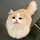 𝐑𝐢𝐡𝐚𝐧𝐧𝐚