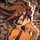 ★†⟨Genda Koujirou⟩†★