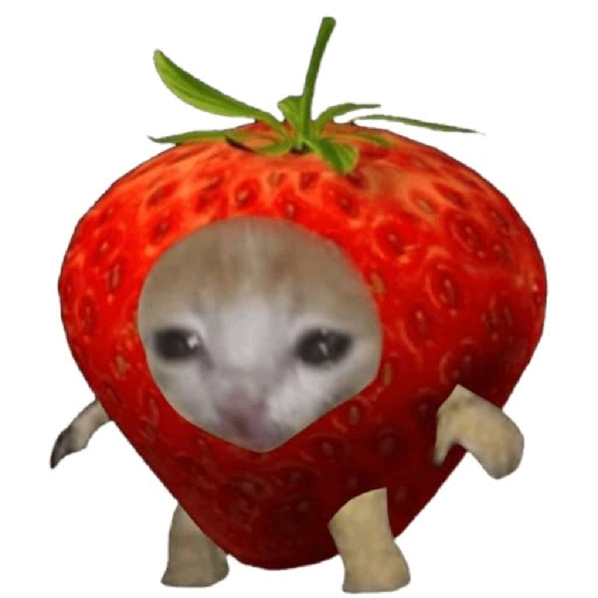 ꧁◊☆𝐶𝑙𝑜𝑣𝑒𝑟☆◊꧂