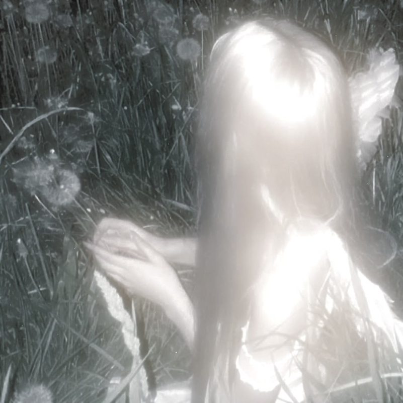 ༺𝓓𝓪𝓲𝓷𝓽𝔂༻ 