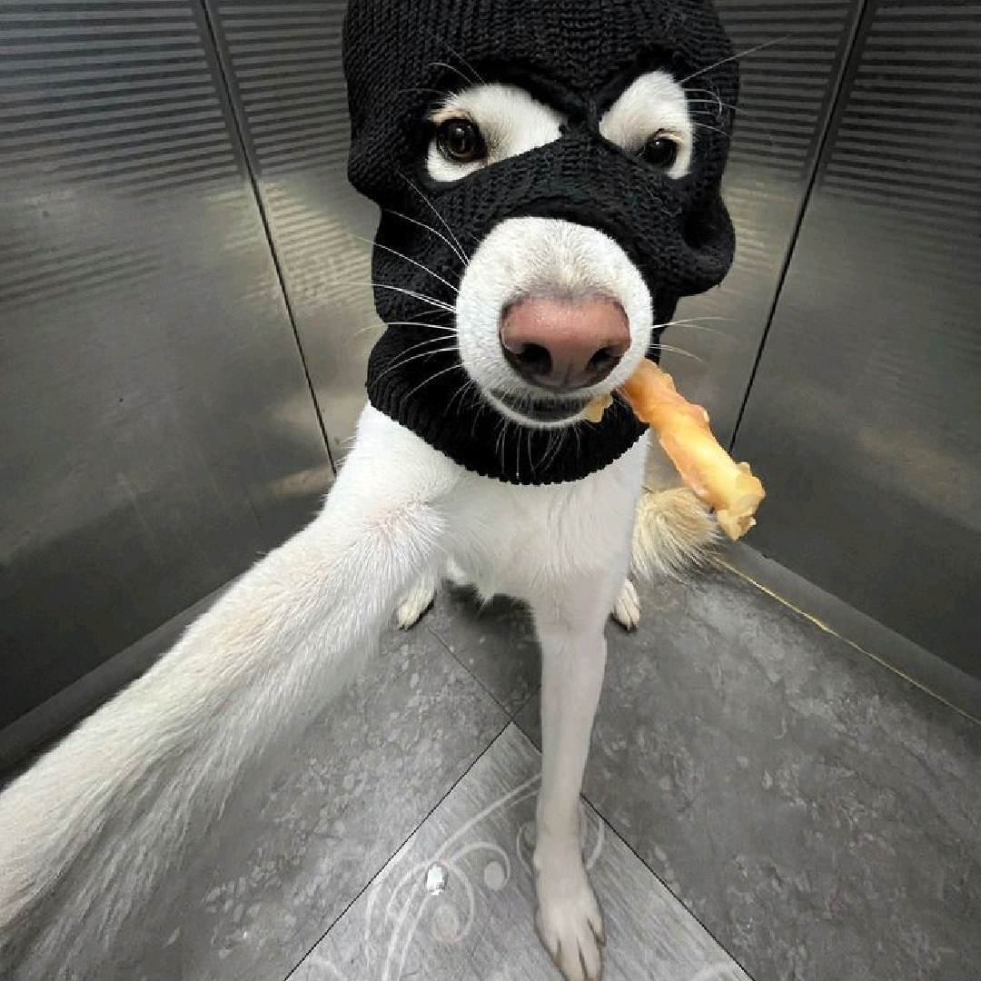 𝙁𝙡𝙖𝙯𝙚★𝙘𝙮𝙨