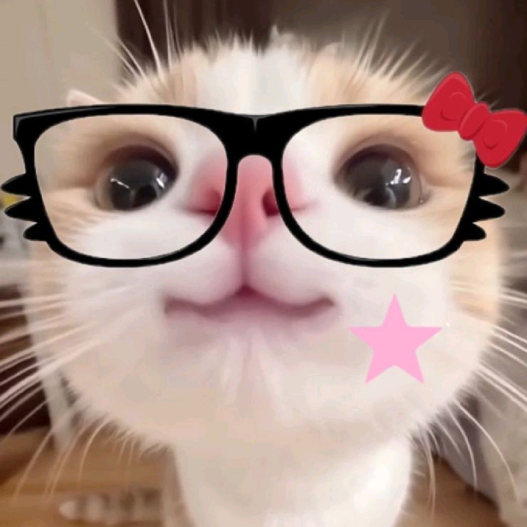 Nayy [𝗟𝗗𝗥]