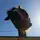 Forever.horse