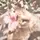 hello_kit1y 