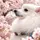 ゆりあもん