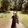 tilly_eq