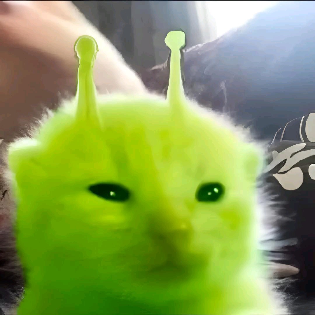 KoPKoP✧