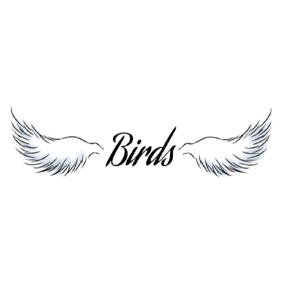 Birdss🪽