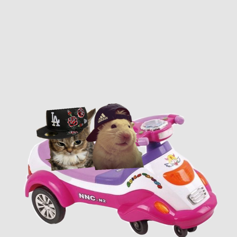 baominhbeat