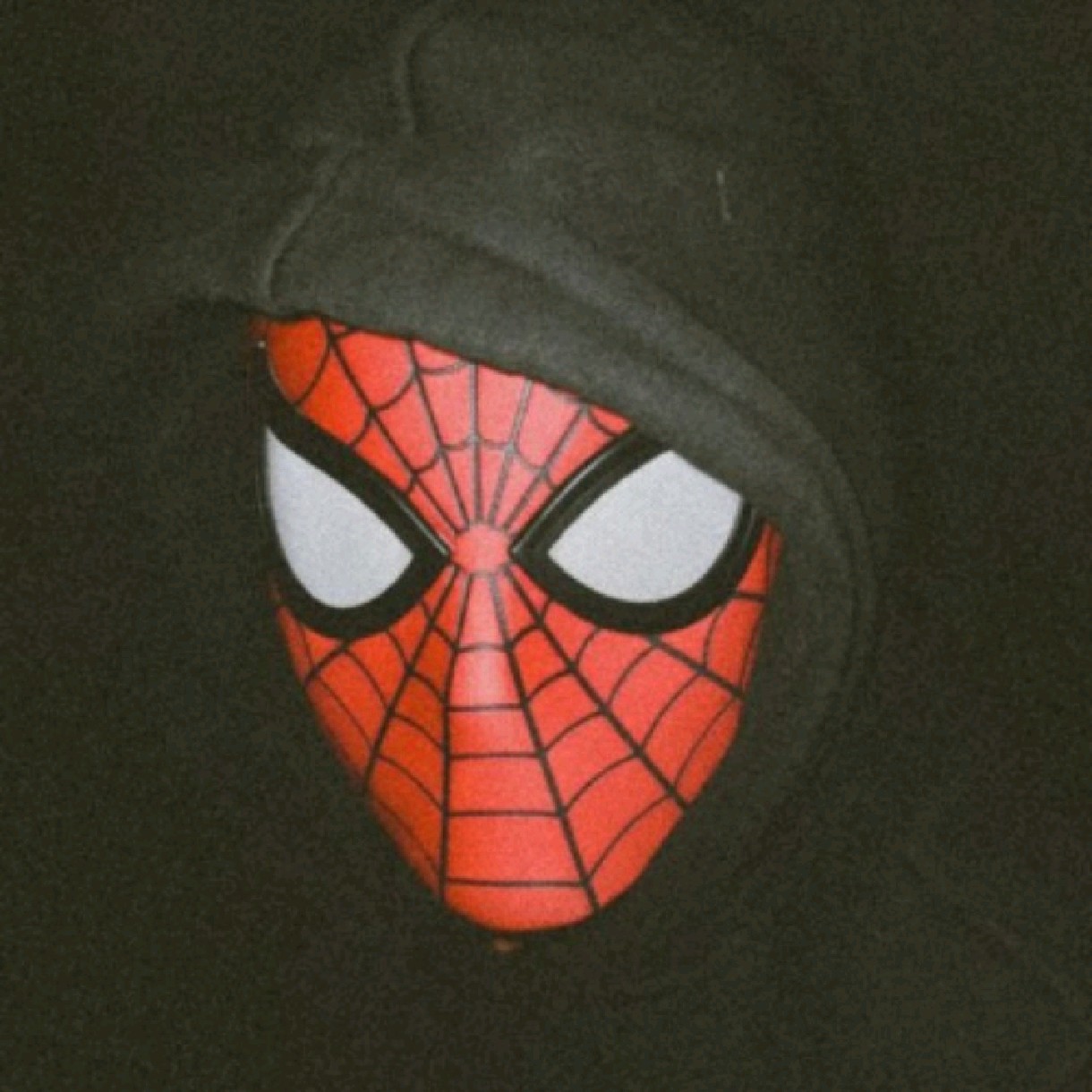 Spidy🕸