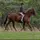 MadiOnyx_eq