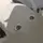 Koala_The_Avocado🐨