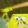 ʕᴥʔっ