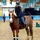 ✨Bert das Pferd 🐴✨