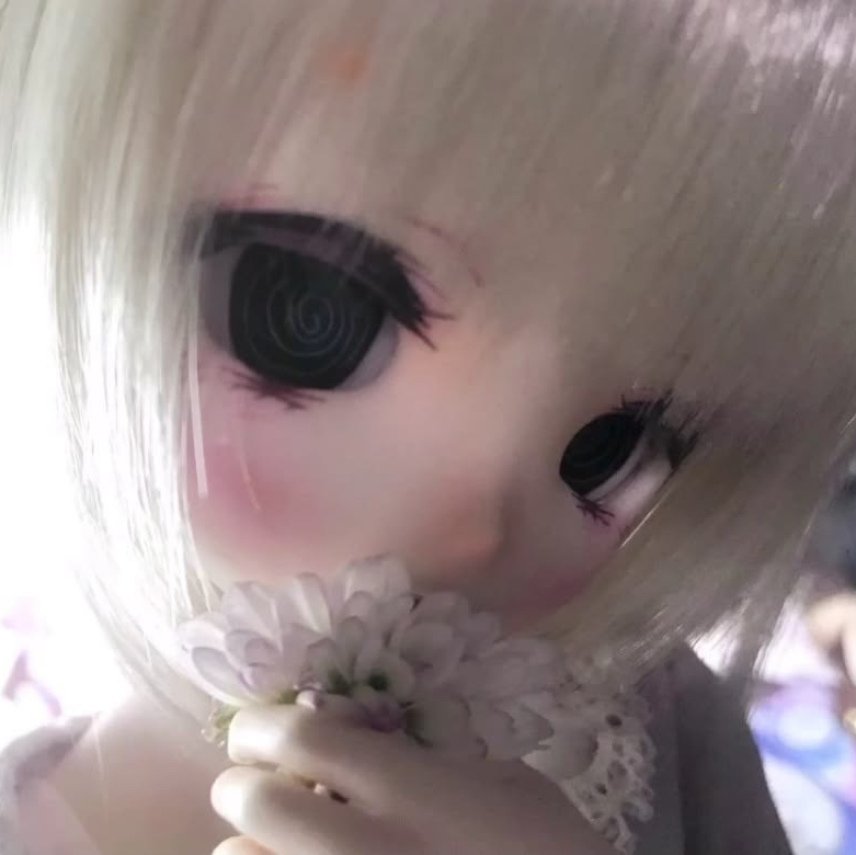 ʟɪʟʏ4ᴜᥫ᭡[LDR]
