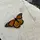 ilovebutterflies