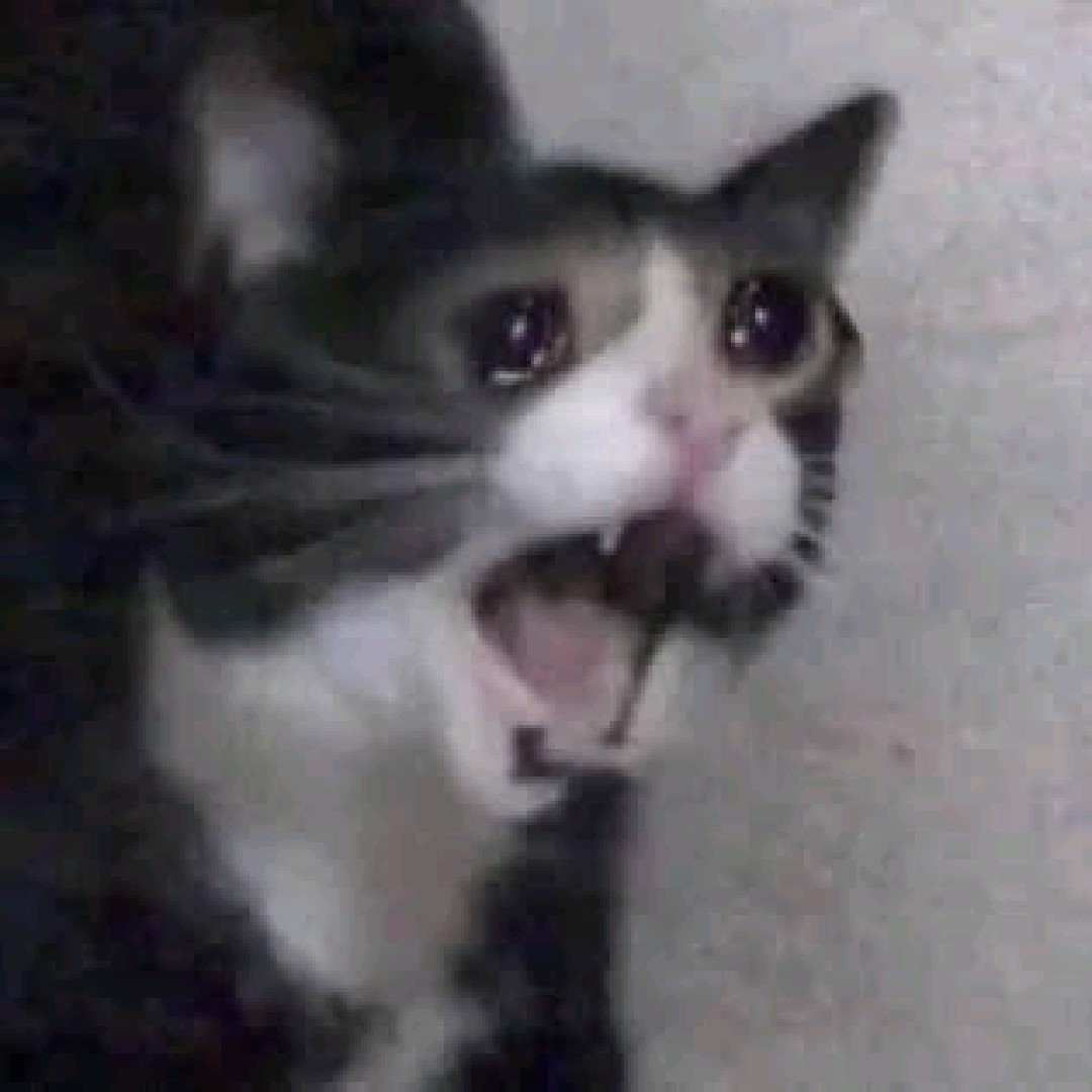 @채릿🖤