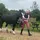 galloping.eq