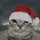 Zazu Cat