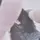 ❥ 뿌이뿌이 설아 ꖮ 래호 | 프본