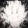 Void.edits