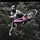 MTB Clips 