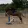 Luna.EQ