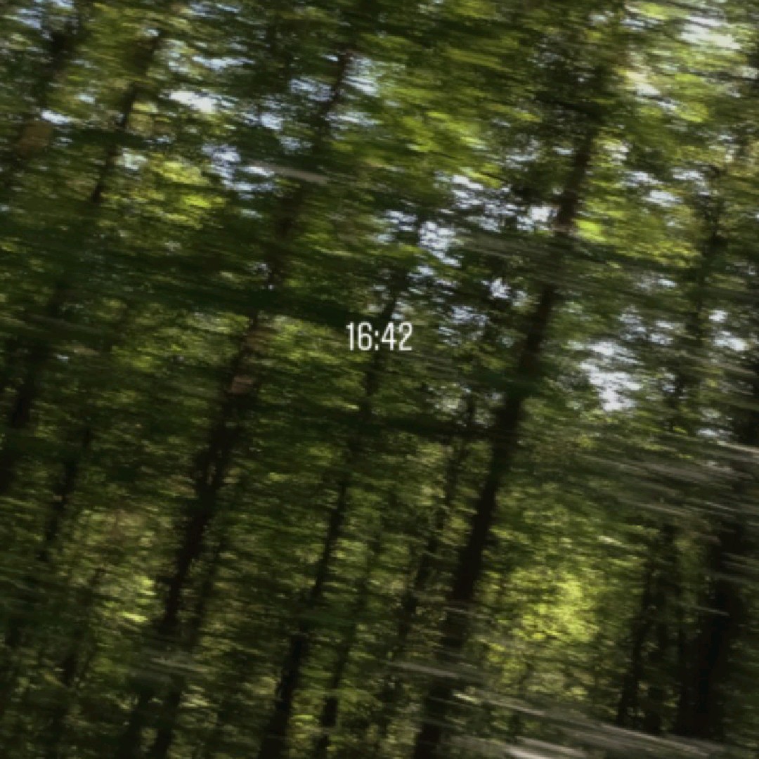L💤