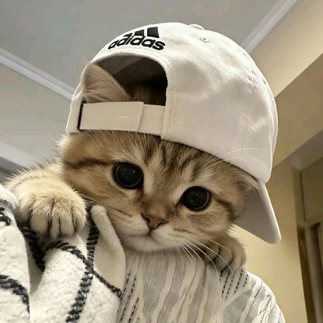 𝐃𝐞𝐧 [𝐀𝐑]