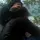 Gallaz 