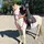 Felix&moi_forever🐎✨