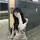 ねねたろう