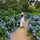 flower_00(TOP)