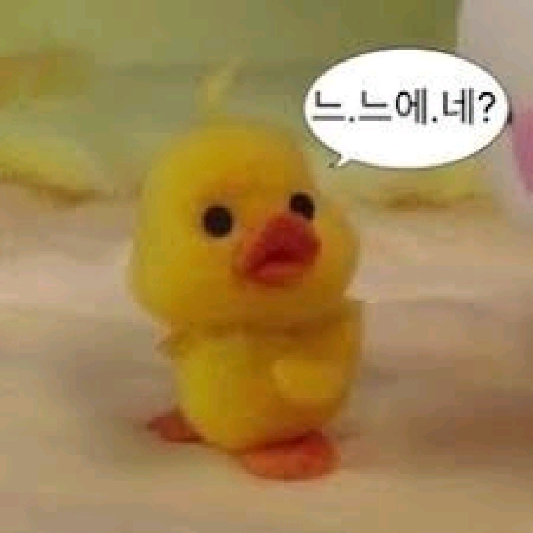 루다