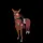 <3_eqestrian 