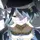 ˙𐃷˙  soup  ☆  |||