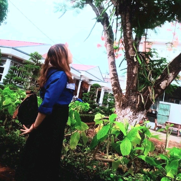 HuynhTruyen91