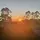 *+Sunset+*