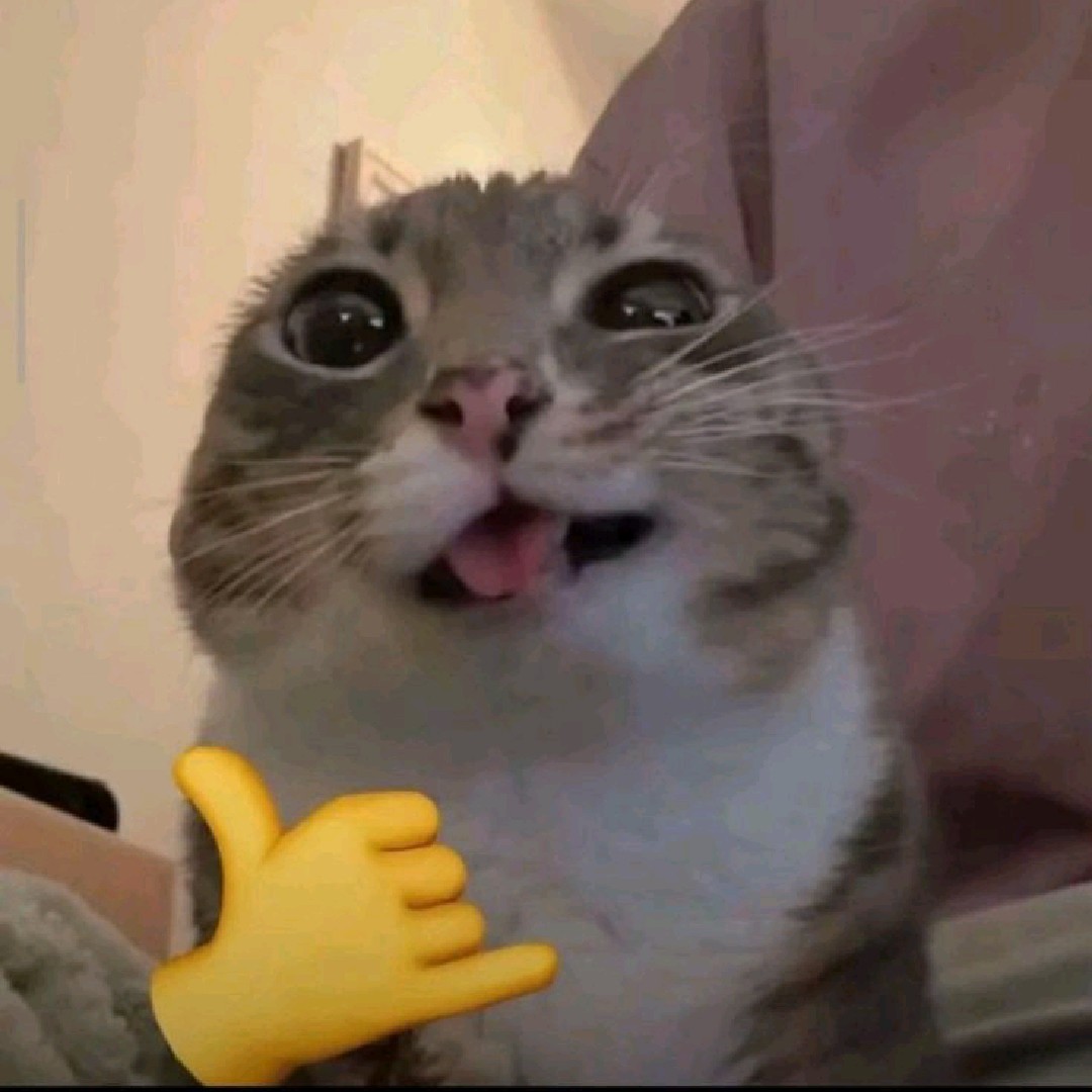 wespeak