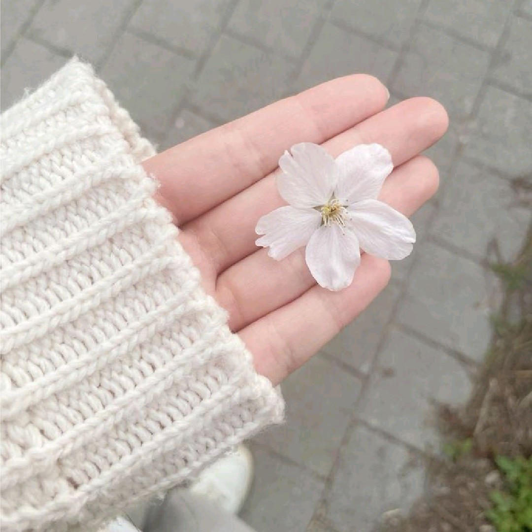 Fairaa𐙚˚࿔ [LDR]