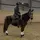 Equi.Felicia