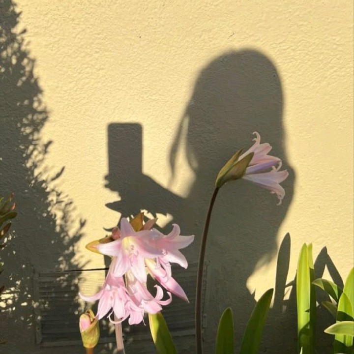 𝑳𝒆𝒂𝒉🦋