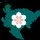 平方化