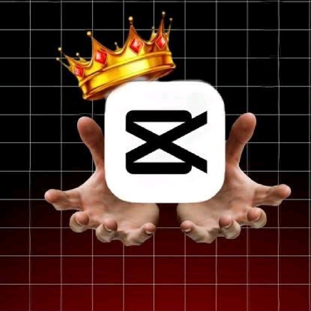 《Z FOR ZYNED》