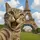™ Meong [L]