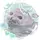 Agresywna_Foka
