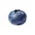 𝐕𝟒𝐑𝐈 (Blueberry)