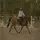 HorseAndPony'