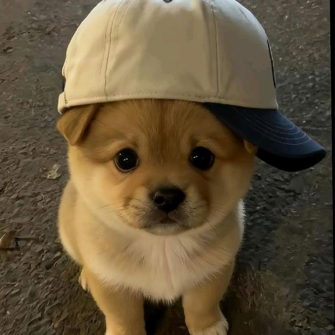Precious