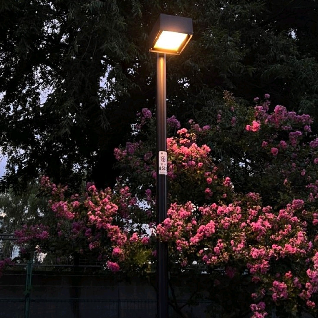 𝙋𝙪𝙣_𝙀𝙙𝙞𝙩
